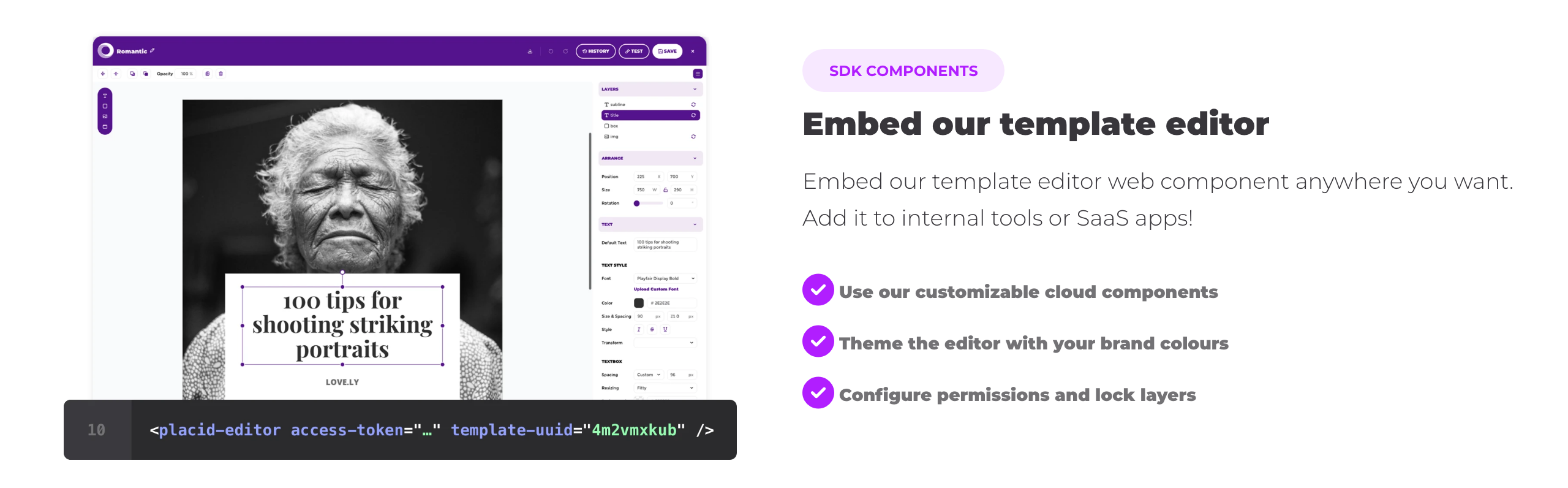 Placid Editor SDK: embed the template editor web component in internal tools or SaaS apps, theme it with brand colours, and configure permissions and locked layers