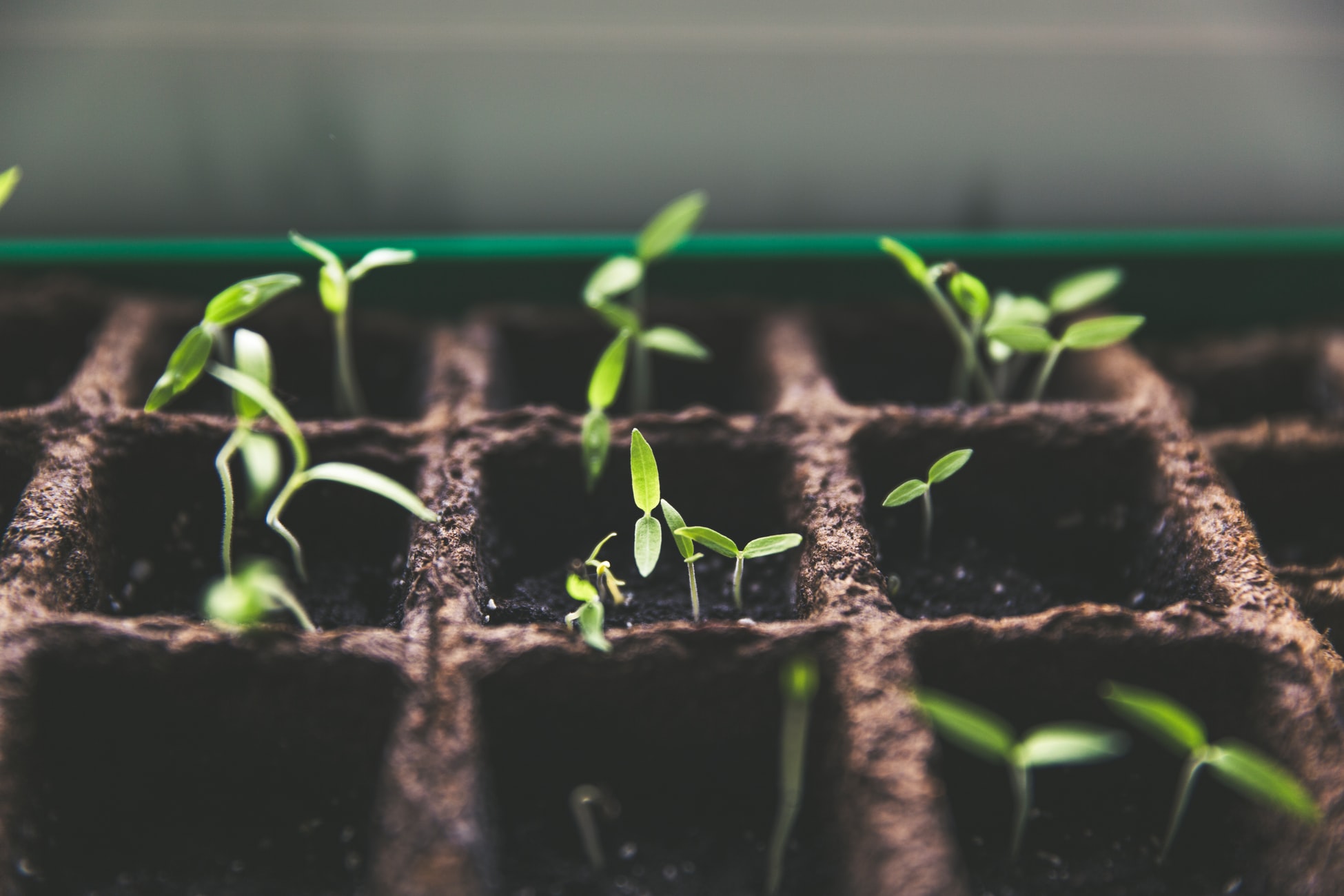 How to Get Your First 25 SaaS Customers