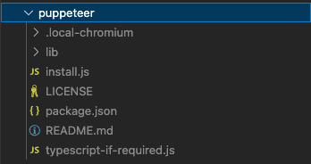 screenshot of puppeteer folder 1