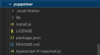 screenshot of puppeteer folder 2