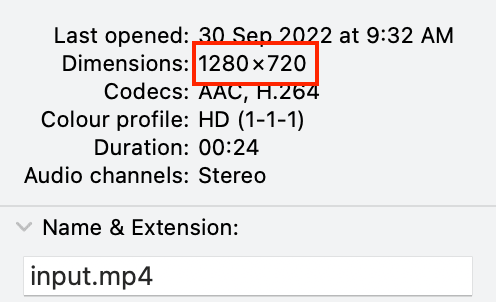 a screenshot of reading a video's dimension from file info