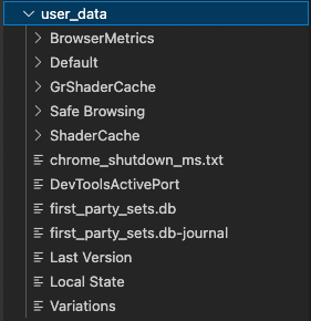 puppeteer user data directory folder.png