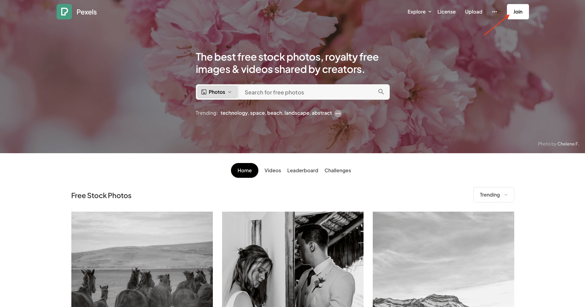 Screenshot of Pexels home page with red arrow pointing to Join