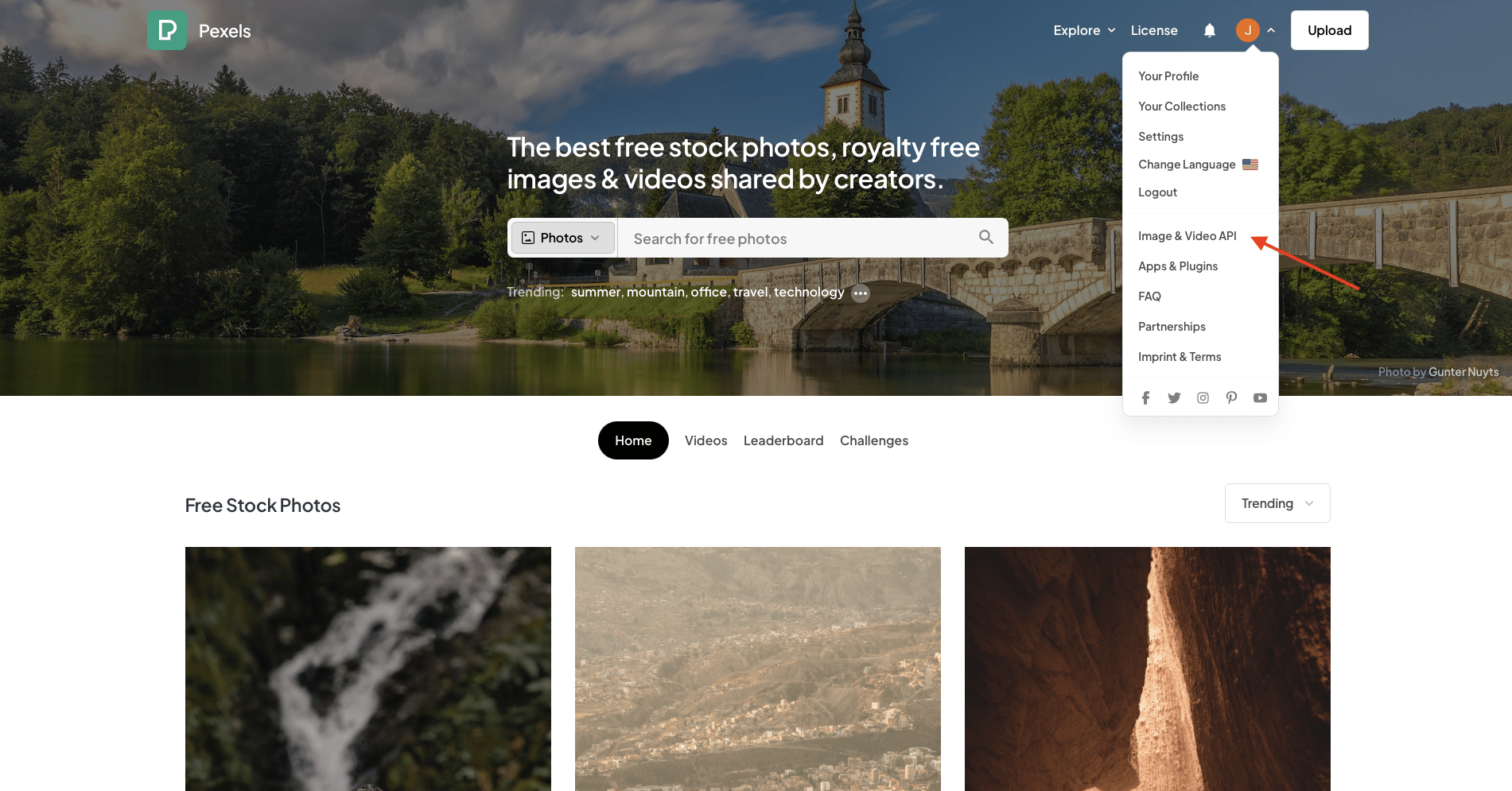 Screenshot of Pexels menu with red arrow pointing to Image & Video API