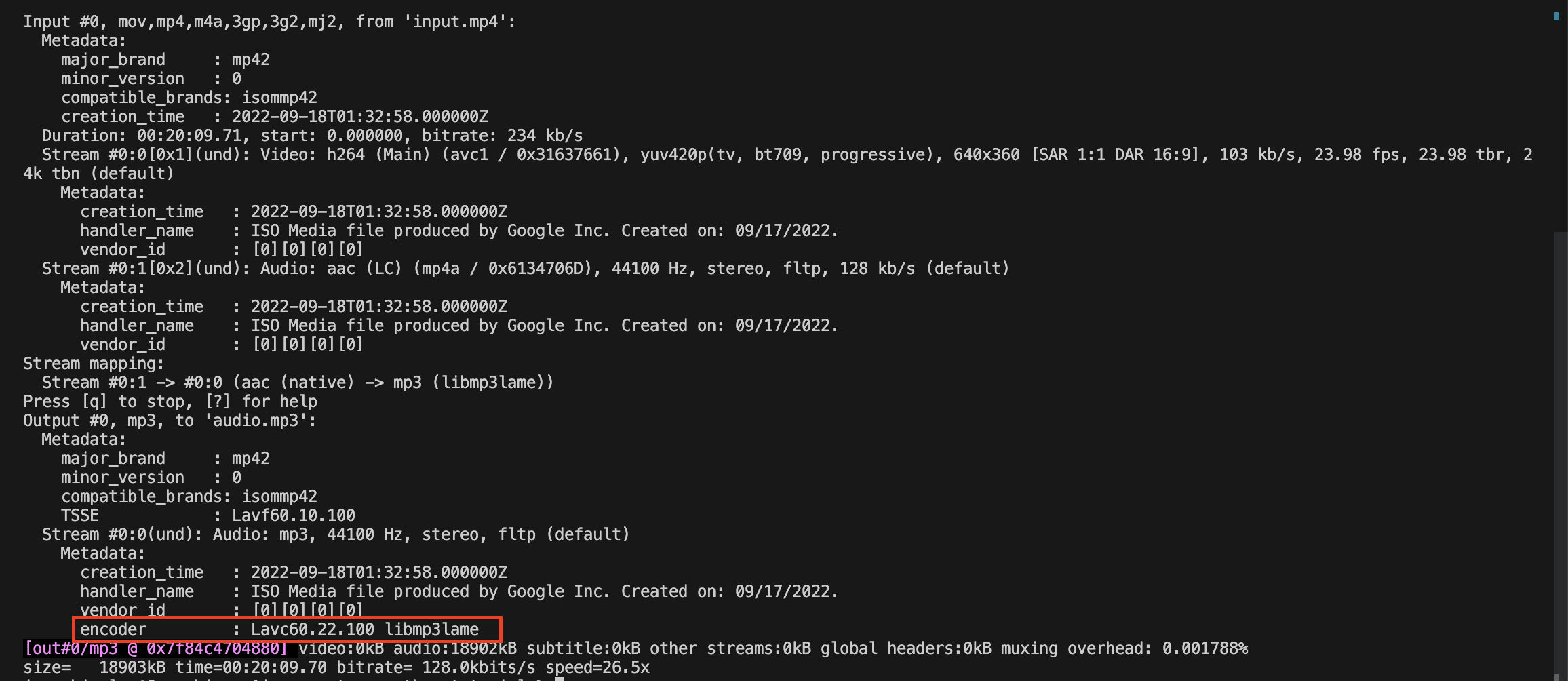 screenshot of the Terminal/Command Prompt output that shows the default codec