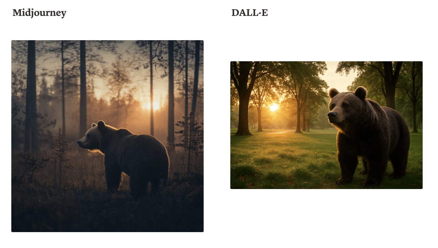 Midjourney vs. Dall-E - Realistic Photography.png