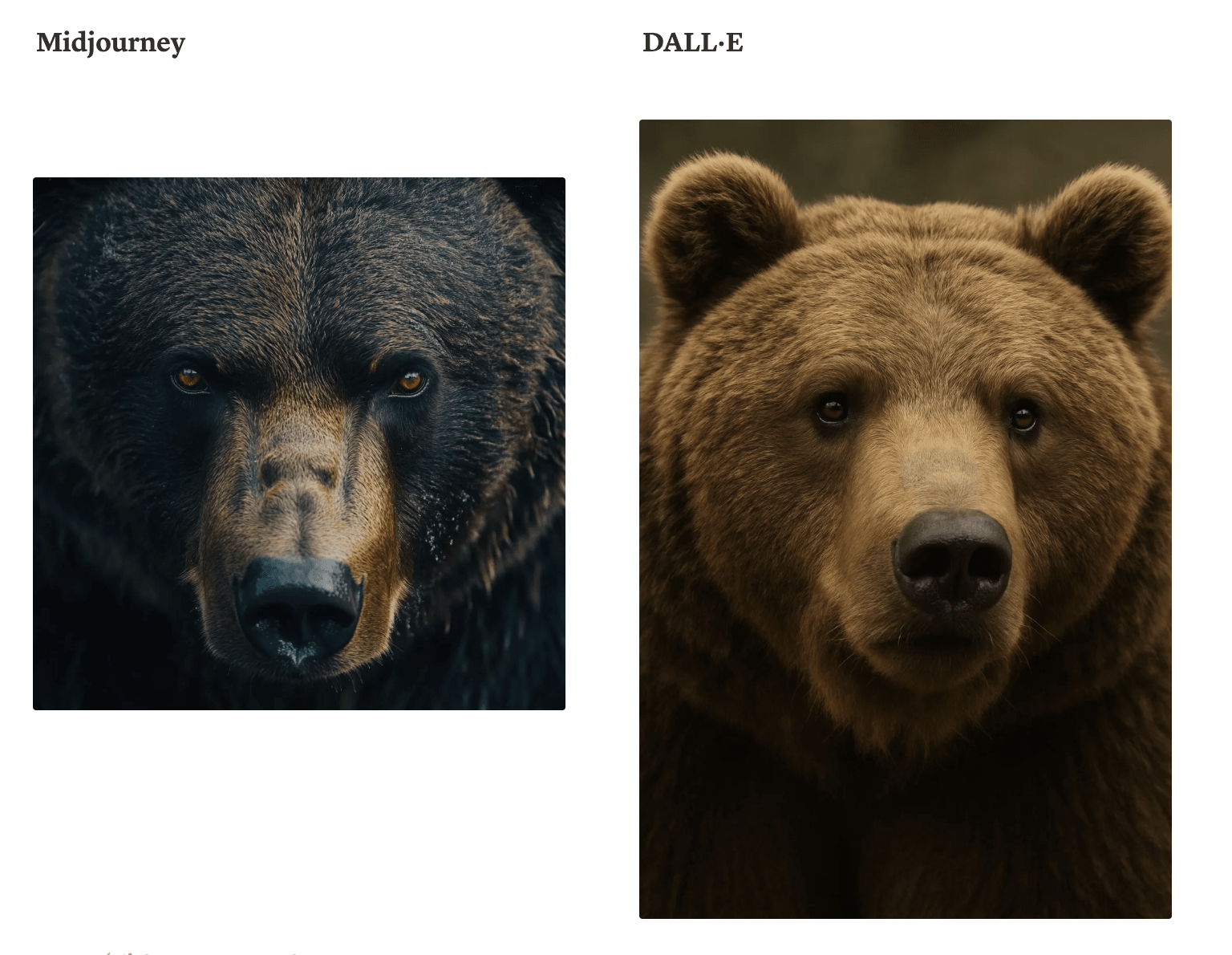 Midjourney vs. Dall-E - Realistic Close-Up Headshot.png
